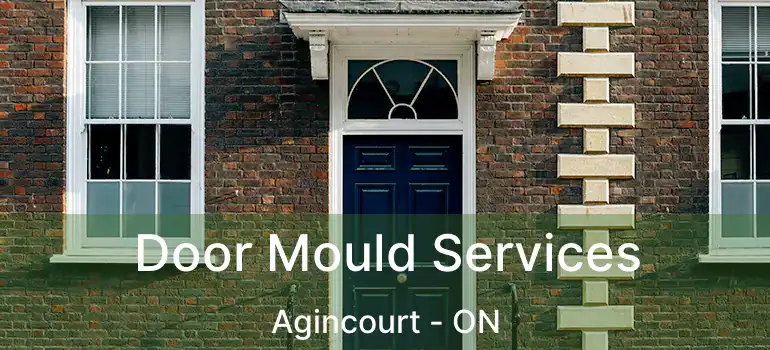  Door Mould Services Agincourt - ON
