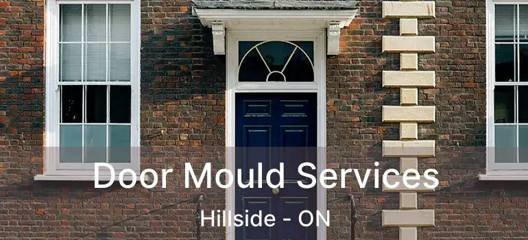  Door Mould Services Hillside - ON
