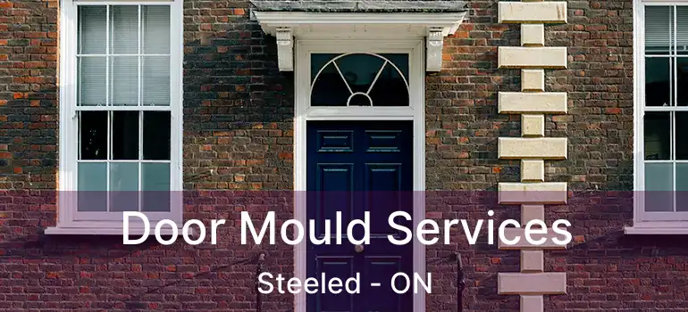  Door Mould Services Steeled - ON