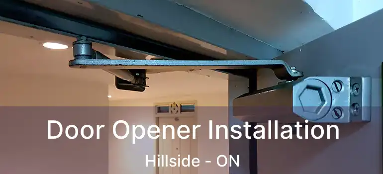  Door Opener Installation Hillside - ON