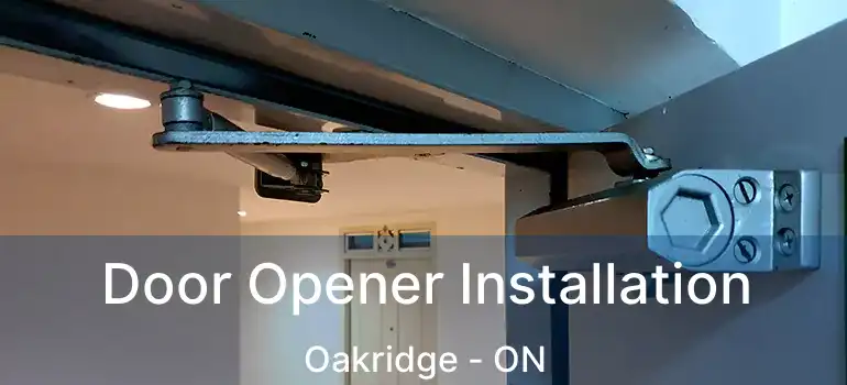  Door Opener Installation Oakridge - ON