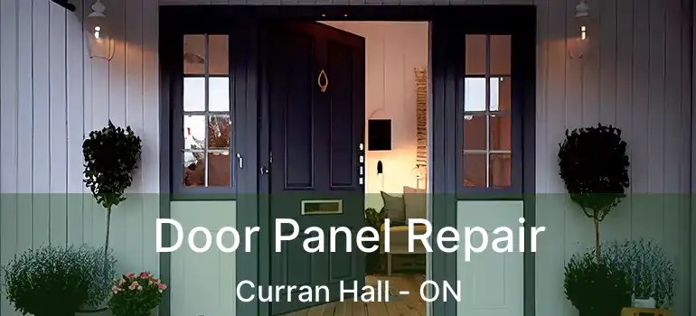  Door Panel Repair Curran Hall - ON