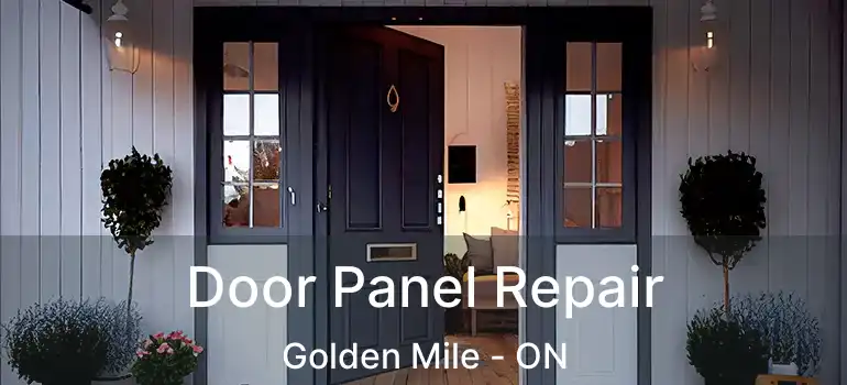  Door Panel Repair Golden Mile - ON