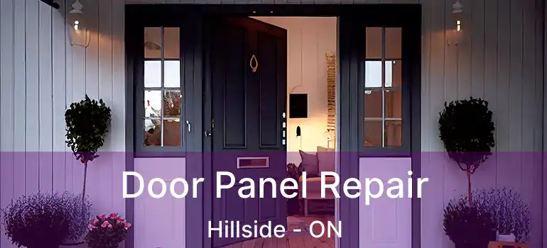  Door Panel Repair Hillside - ON