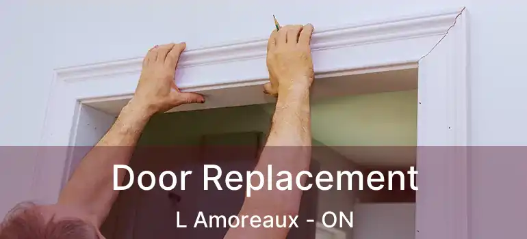  Door Replacement L Amoreaux - ON