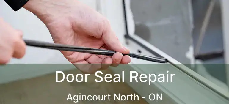  Door Seal Repair Agincourt North - ON