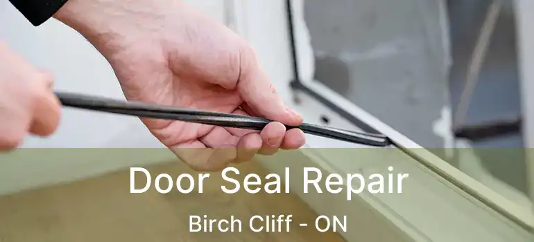 Door Seal Repair Birch Cliff - ON