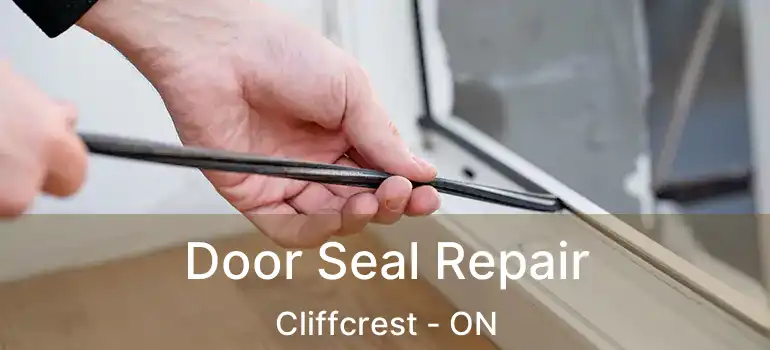  Door Seal Repair Cliffcrest - ON