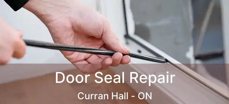  Door Seal Repair Curran Hall - ON