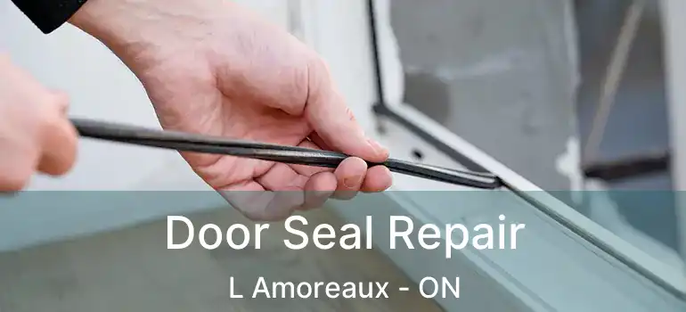  Door Seal Repair L Amoreaux - ON
