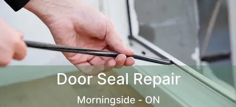  Door Seal Repair Morningside - ON