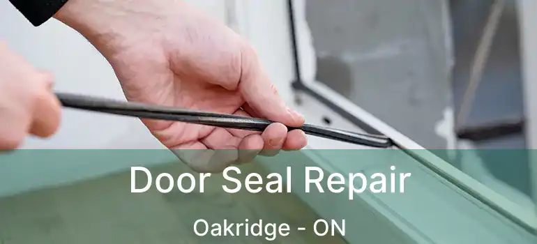 Door Seal Repair Oakridge - ON