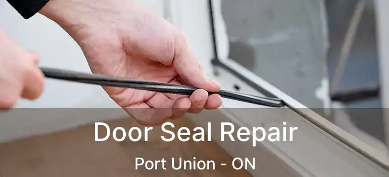 Door Seal Repair Port Union - ON