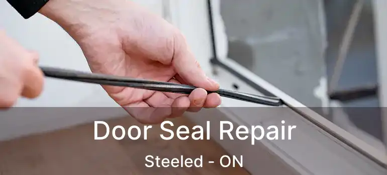  Door Seal Repair Steeled - ON