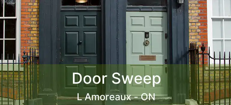  Door Sweep L Amoreaux - ON