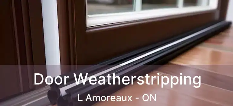  Door Weatherstripping L Amoreaux - ON