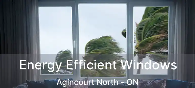  Energy Efficient Windows Agincourt North - ON