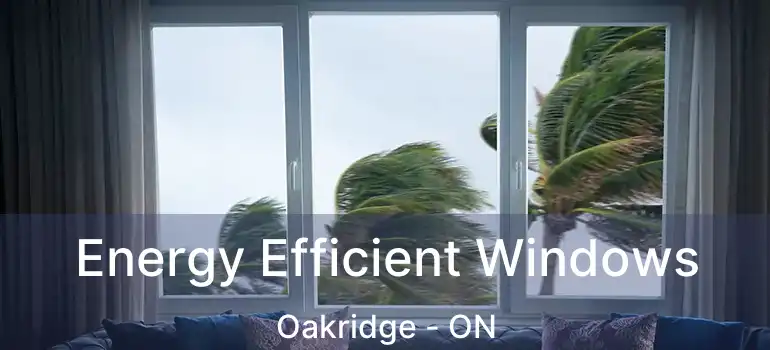  Energy Efficient Windows Oakridge - ON