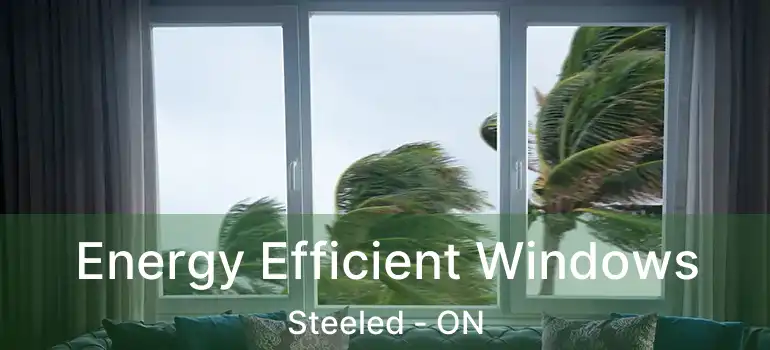  Energy Efficient Windows Steeled - ON