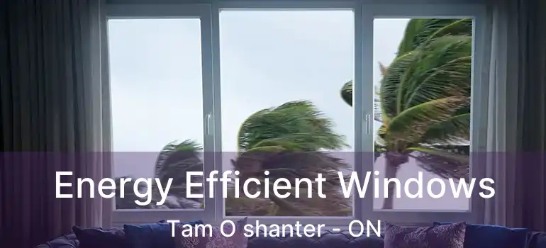  Energy Efficient Windows Tam O shanter - ON