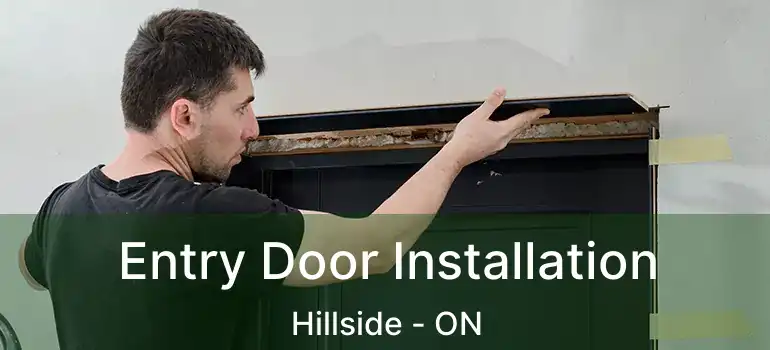  Entry Door Installation Hillside - ON
