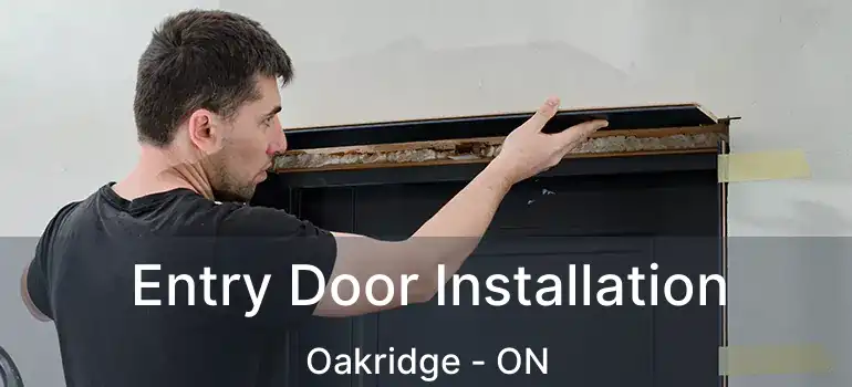 Entry Door Installation Oakridge - ON