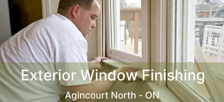  Exterior Window Finishing Agincourt North - ON