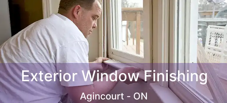  Exterior Window Finishing Agincourt - ON