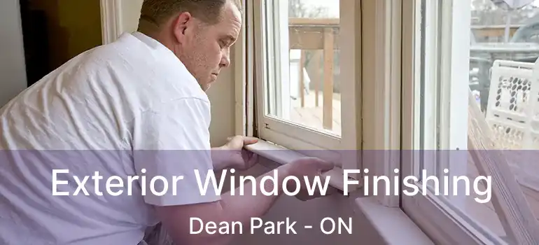 Exterior Window Finishing Dean Park - ON