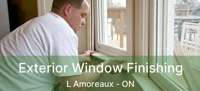 Exterior Window Finishing L Amoreaux - ON