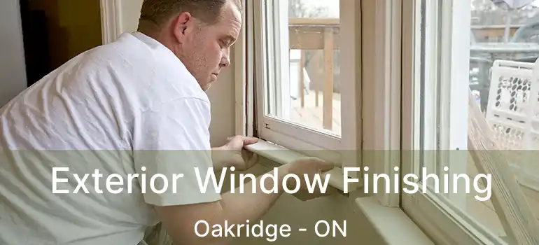  Exterior Window Finishing Oakridge - ON