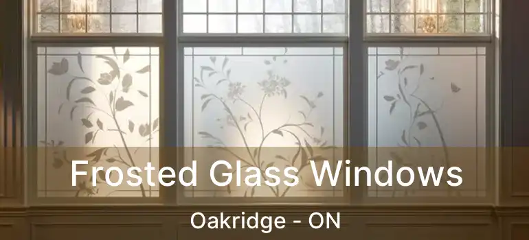  Frosted Glass Windows Oakridge - ON