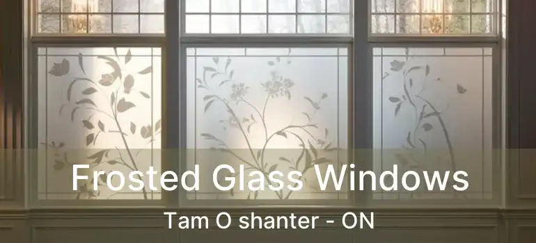 Frosted Glass Windows Tam O shanter - ON