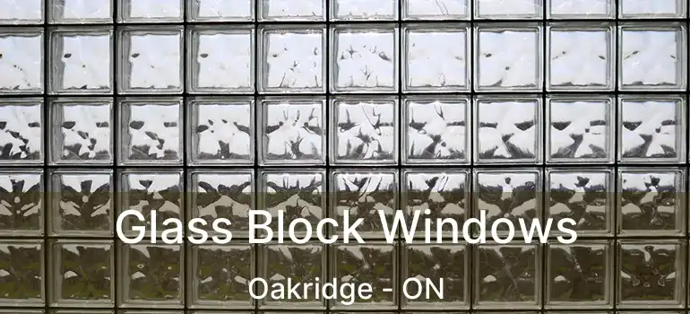  Glass Block Windows Oakridge - ON