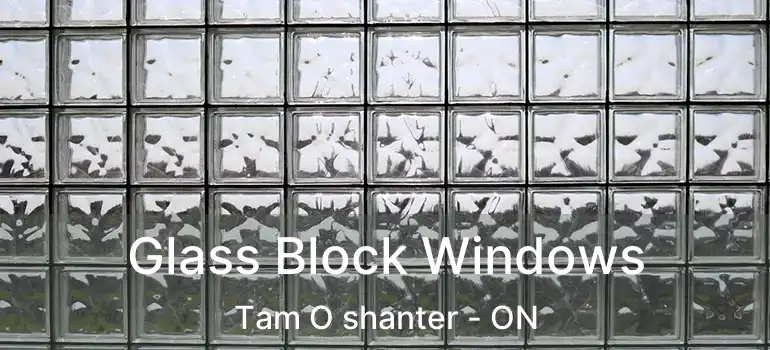  Glass Block Windows Tam O shanter - ON