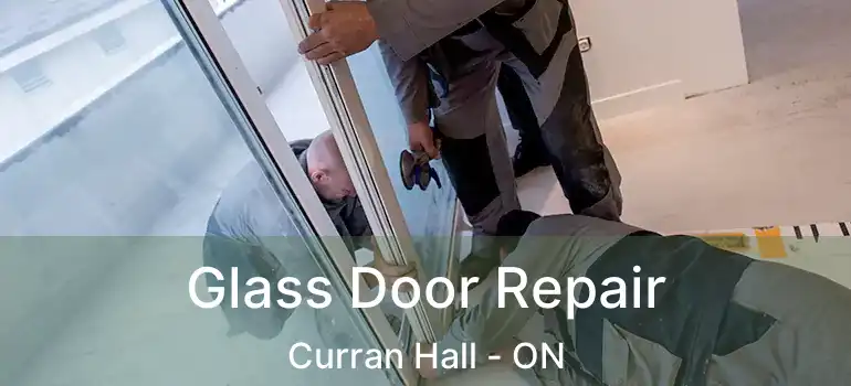Glass Door Repair Curran Hall - ON