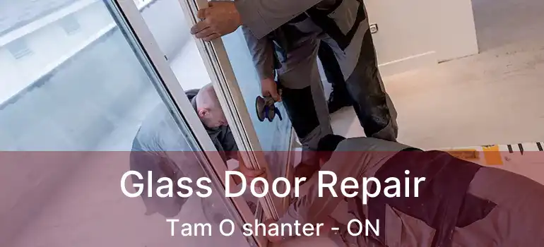  Glass Door Repair Tam O shanter - ON