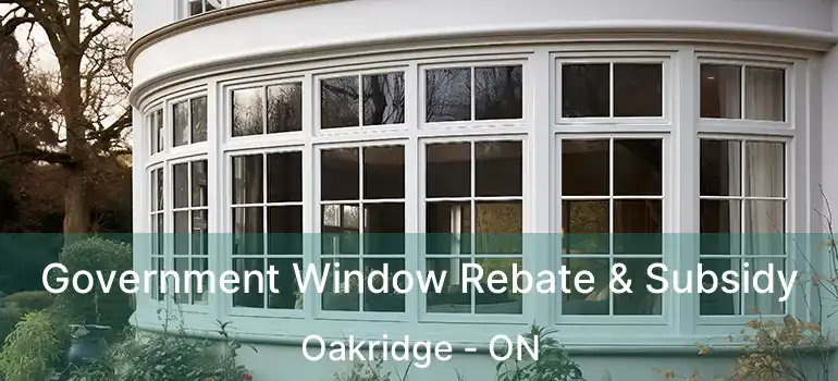  Government Window Rebate & Subsidy Oakridge - ON