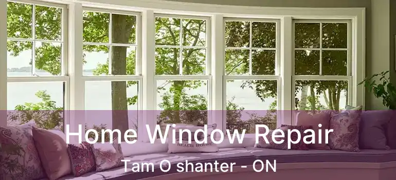  Home Window Repair Tam O shanter - ON