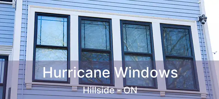 Hurricane Windows Hillside - ON