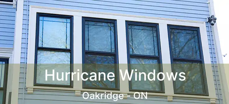  Hurricane Windows Oakridge - ON