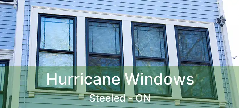  Hurricane Windows Steeled - ON
