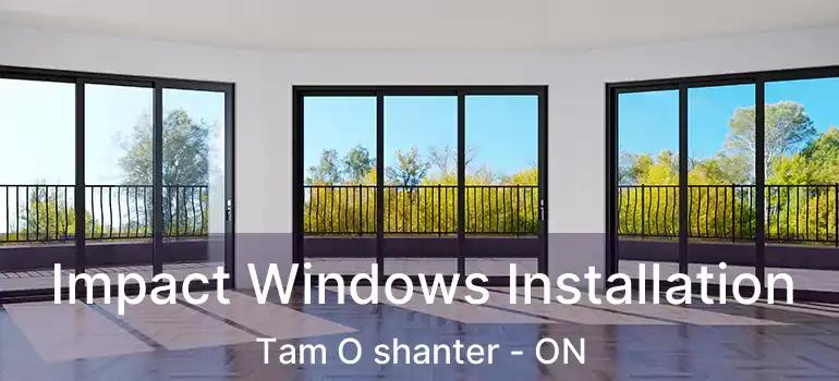  Impact Windows Installation Tam O shanter - ON
