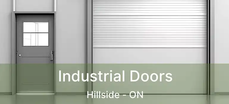  Industrial Doors Hillside - ON
