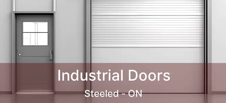  Industrial Doors Steeled - ON