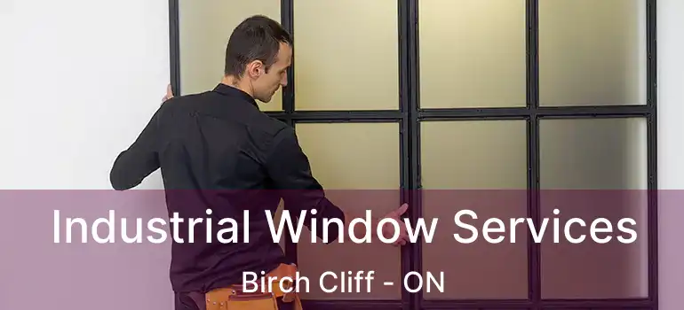 Industrial Window Services Birch Cliff - ON