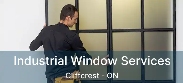  Industrial Window Services Cliffcrest - ON
