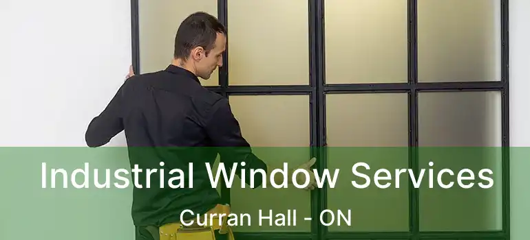  Industrial Window Services Curran Hall - ON