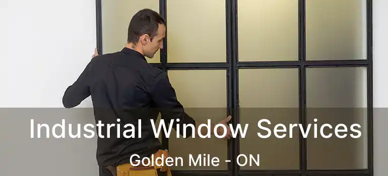  Industrial Window Services Golden Mile - ON