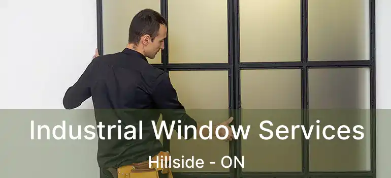 Industrial Window Services Hillside - ON